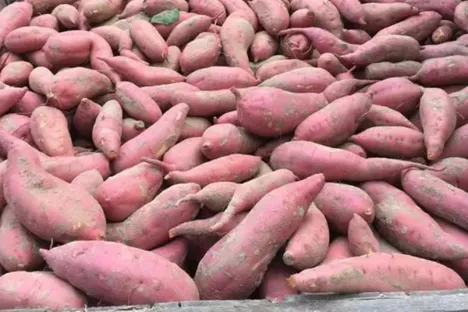 Sweet Potatoes
